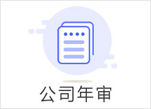 公司年审